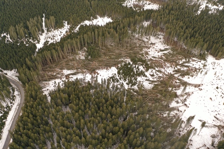 Vetrolom na Pokljuki 1